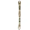 Image de DMC - Fil de Coton à Broder 6 brins - Beige Moka Clair