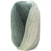 Image de DMC - Brio - Fil à tricoter | Idéal pour la réalisation d'habits | 100 g - 345 m | 18 coloris