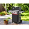 Image de WEBER Barbecue à gaz Spirit E-335