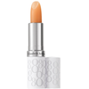 Image de Elizabeth Arden Lip Protectant SPF 15 3 g