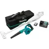 Image de Kit combo batterie CLX245SAX1, 12 Volts, Souffleur de feuilles