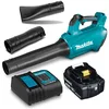 Image de Souffleur 18V LXT (1x3,0 Ah) avec chargeur rapide - MAKITA DUB184RF