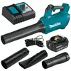 Image de Souffleur 18V LXT (1x5,0 Ah) avec chargeur rapide - MAKITA DUB184RT