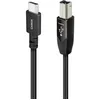 Image de Audioquest Carbon USB B vers Type C - Câble USB-B vers USB-C de 0,75 m