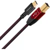 Image de Câbles USB Audioquest Cinnamon USB B vers Type C (0,75 m)