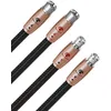 Image de Câbles symétriques XLR Audioquest Black Beauty XLR (2 x 2 m)