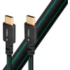 Image de Câble USB Type C Audioquest Forest 0.75 m Noir