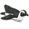 Image de Pingouin Sud Africain - Figurines des animaux SafariLtd 220529