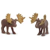 Image de Safari - Alces Animaux, Multicolore (S348222)