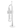 Image de Trompette Sib Roy Benson TR-403