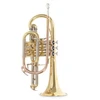 Image de Cornet Sib Roy Benson CR-302