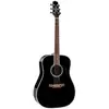 Image de Takamine FT341 Limited Edition guitare électro-acoustique folk avec housse
