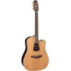 Image de Japon Signature Garth Brooks Dreadnought Electro