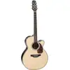 Image de Takamine RNV460C guitare électro-acoustique folk avec étui softcase