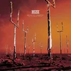 Image de Origin of Symmetry (XX Anniversary Remixx)