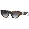Image de Philipp Plein Plein Capture Lunettes de Soleil, Havana foncé Brillant, 58/18/145 Femme