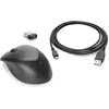 Image de HP Premium - Souris - droitiers et gauchers - laser - 3 boutons - sans fil - 2.4 GHz - récepteur sans fil USB - noir - pour EliteBook 645 G9, 655 G9; ProBook 445 G9, 44X G7, 455 G9; ProBook x360; Stream Pro 11 G4 en occasion ou reconditionné