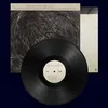 Image de The Moon & the Melodies