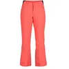 Image de Spyder Winner Pants 8