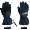 Image de Spyder OVERWEB GTX Gloves, Homme, True Navy, XL