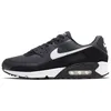 Image de Nike Homme Air Max 90 Fashion-Sneakers, Iron Grey White DK Smoke Grey Black, 43 EU
