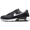 Image de Nike Sneaker Air Max 90, Iron Grey/White-DK Smoke Grey-Black, CN8490-002, 47.5 EU (M 13 US)