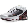 Image de Nike Air Max Plus III White-Vast Grey CW1417-100 (Numeric_45_Point_5)