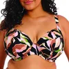 Image de Elomi Swim Haut de bikini plongeant à armatures Ocean Avenue pour femme, multicolore, 105E