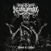 Image de Womb of Lilithu (Re-Issue 2022)