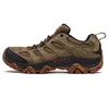 Image de Merrell Homme Moab 3 GTX Chaussure de randonnée, Gomme D Olive, 50 EU