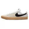 Image de Nike SB Zoom Blazer Low Pro GT DC7695-100 Chaussures de skate Blanc/Blanc/Noir, Blanc/Blanc/Noir, 40.5 EU