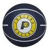 Image de Wilson Balle rebondissante NBA Dribble Indiana Pacers