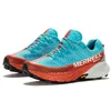 Image de Merrell Femme Agility Peak 5 GTX-Atoll/Cloud Basket, 37.5 EU