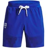 Image de Under Armour Hommes Print Woven Shorts XXL