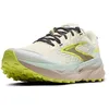 Image de BROOKS Cascadia 19 Sneaker