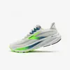 Image de Chaussure de running Homme, Brooks Ghost 17 gris et vert