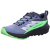 Image de Salomon Sense Ride 5 GTX Flint/B Chaussure de Trail pour Homme Flint Stone/Black/Green Gecko 44