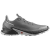 Image de Salomon Chaussures De Trail Running Alphacross 5