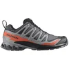 Image de SALOMON Chaussures multifonctionnelles pour hommes XA Pro 3D V9 GTX gris | 47 1/3