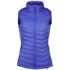 Image de Columbia Powder Pass Gilet