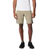 Image de Short cargo Columbia Silver Ridge Utility pour homme