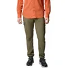Image de Columbia Skien Valley  Pantalon cargo de randonnée avec technologie anti-insecte pour homme, Stone Green, 44