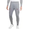 Image de NIKE Liverpool FC Pantalon d'entrainement Gris/Rouge Homme 2022/2023