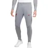 Image de NIKE Liverpool FC Pantalon d'entrainement Gris/Rouge Homme 2022/2023