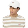 Image de Dickies Casquette 6 Panel Logo