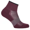 Image de ICEBREAKER Multisport Light Mini Socks EU 41-43