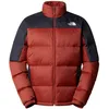 Image de THE NORTH FACE Diablo Veste Bandy Bown/Noir L