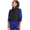 Image de Under Armour Gilet Storm Session