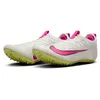 Image de Nike Chaussures de piste Zoom Superfly Elite 2 pour homme, Voile/citron clair/noir/rose féroce, 47 EU
