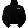 Image de THE NORTH FACE NF0A89J9JK3 W 100 Glacier Half Zip Fleece Sweatshirt Femme TNF Black Taille XS